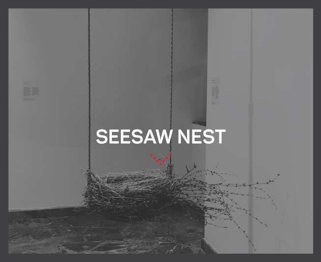 SEESAW-NEST